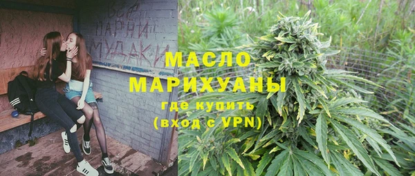 сатива Бородино