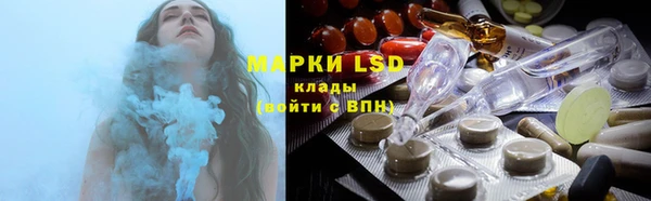 сатива Бородино