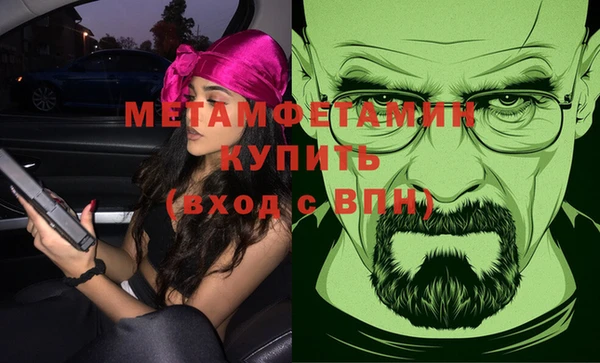 сатива Бородино