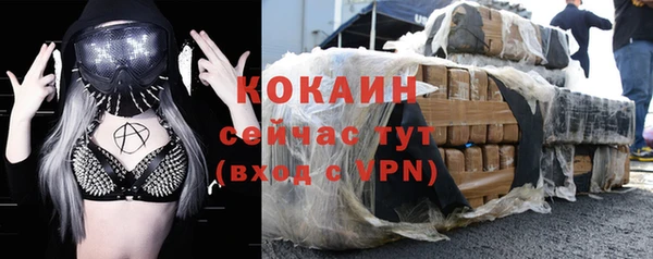 сатива Бородино