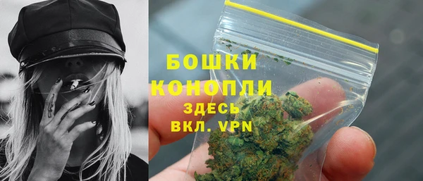 сатива Бородино